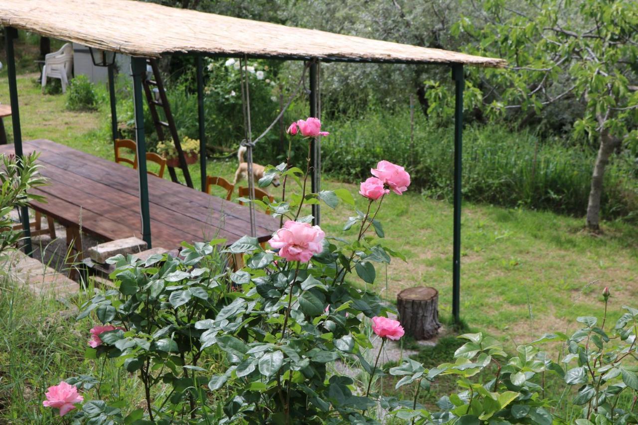 Bed & Breakfast Casa Lisetta Valtopina Eksteriør billede